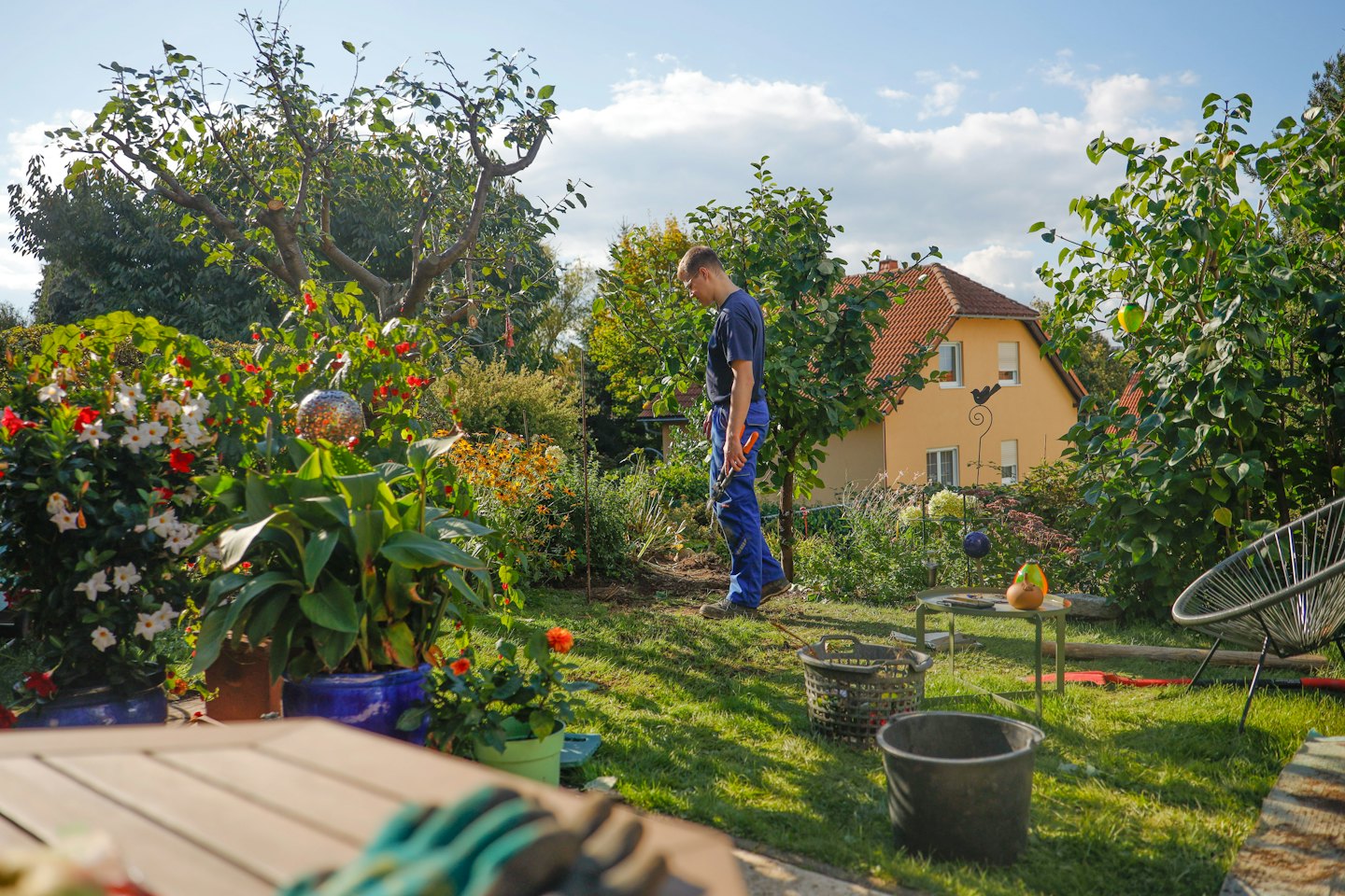 Un homme en tenue bleue travaillant dans un jardin luxuriant avec des fleurs.